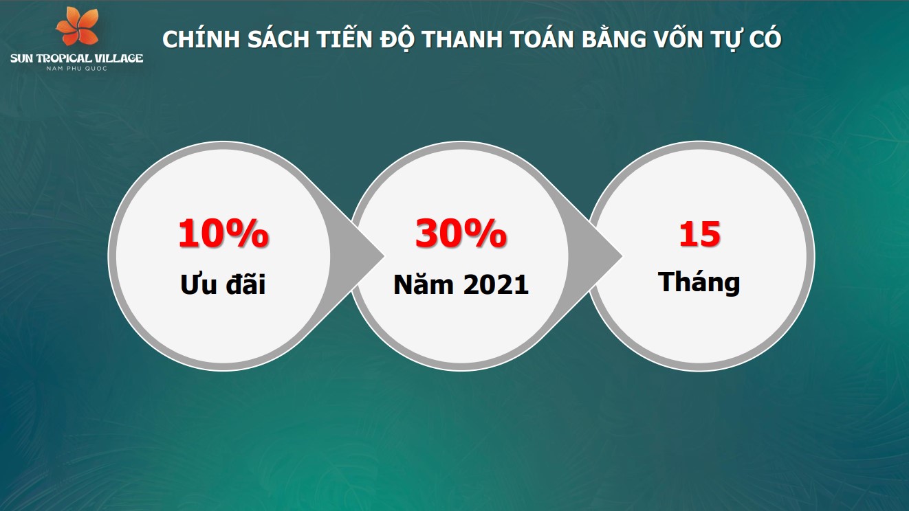 chinh-sach-khong-vay